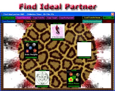 find ideal partner